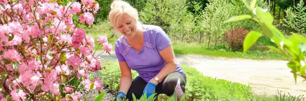 Gardening with Less Groaning BIMGarden.ready .0006 1 scaled 1 gardening with less groaning uncategorized